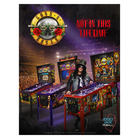 Guns N' Roses 'Not In This Lifetime' Pinball Poster