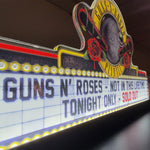 Guns N' Roses 'Not In This Lifetime' Pinball Topper